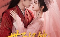 【世子妃她不是来结婚的】40集短剧免费高清观看