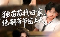 【独苗苗找回家绝嗣爷爷宠上天】65集免费短剧全集尽情看