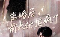 【离婚后，前夫他追疯了$今夜星光璀璨】90集短剧全集高清在线追剧体验