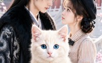 【团宠猫主子，全锦衣卫偷听我心声】60集短剧免费完整版在线看