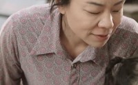 【将人贩子送上法庭】30集高清短剧在线免费看