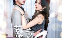 【蓄意逐风】95集短剧高清资源在线观看无广告