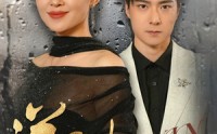 【逆子归心】31集短剧高清蓝光版在线观看