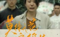 【莫待无花空折枝】75集短剧全集，在线观看高清免费版