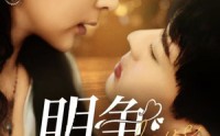 【明争暗宠】70集高清短剧全集在线流畅观看