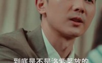 【复仇逆袭：这个婶婶画风不对】80集短剧完整版在线观看不卡顿