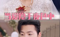 【当爱隐于夜色中】37集短剧全集在线观看无广告