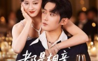 【都是相亲惹的祸】72集短剧全集畅享观看