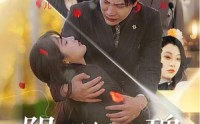 【阴谋与玫瑰】31集高清短剧在线观看无广告