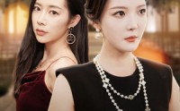 【闪耀的婆婆】62集短剧高清版全集在线观看