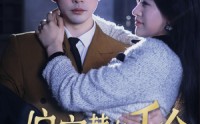 【偏宠替身千金】78集短剧高清画质在线观看