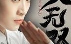 【功夫无双】65集短剧全集在线观看无广告