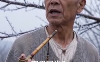 【种植：我的伙伴是只熊】66集短剧免费畅享观看