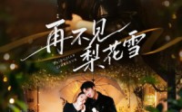 【再不见梨花雪】70集短剧在线免费完整观看
