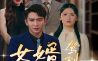 【女婿驾到，通通闪开】34集短剧资源汇总在线观看
