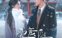 【爱意随初雪降临】66集短剧免费在线播放看