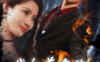【我和前妻的爱恨情仇】85集超清短剧，全集一次性看个够