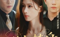 【引火焚身】61集短剧免费在线一口气看完