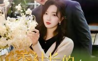 【季社长的小蔷薇绽放了】60集高清短剧全集在线流畅观看