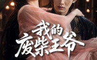【我的废柴王爷】31集短剧在线观看无广告