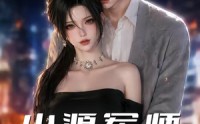 【小源军师】19集短剧完整版免费在线观