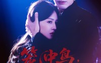 【笼中鸟，烬中生】60集在线短剧免费全集速看