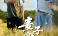 【麦子熟了】52集短剧手机在线观看全集