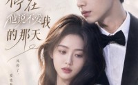 【风停在他说不爱我的那天】40集短剧免费在线高清赏看
