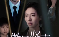 【傲骨贤妻】52集全集在线观看高清版免费