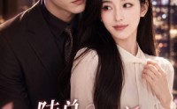 【陆总，你的小祖宗请签收】66集精彩短剧免费畅快看