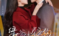 【绿茶小狼狗诱我情深】101集短剧手机在线观看，随时随地