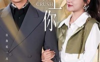 【敲敲爱上你】53集短剧全集免费高清版在线