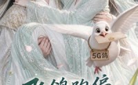 【飞鸽跑偏，我的心事落进王爷掌心】31集短剧免费在线赏看