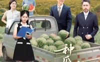 【种瓜得瓜种豆得豆】30集短剧全集在线高清极速播