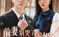 【前妻别哭了，是你说离婚的】42集高清短剧全集在线流畅观看