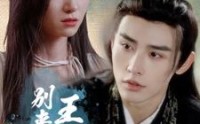 【王爷别来无恙】88集完整版短剧在线观看平台