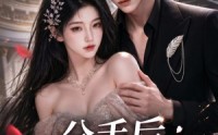 【分手后男频女频大乱斗】82集短剧全网免费在线观看