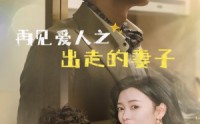 【再见爱人之出走的妻子】85集短剧迅雷下载+在线观看