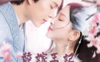 【替嫁王妃不好惹】42集短剧全集在线观看无广告