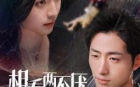 【相看两不厌】80集短剧全集一键播放在线享