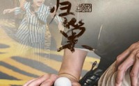 【新版：凤归巢】68集完整剧情免费在线播放