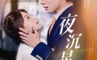 【夜沉星光】60集短剧完整版免费在线览