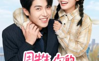 【周先生，你的老婆超有福】50集精彩短剧免费赏看