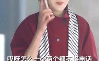 【谢先生拼个婚】84集短剧在线播放，全集免费欣赏