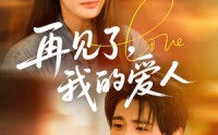 【再见了我的爱人】62集免费流畅短剧在线播放