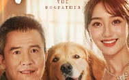 【犬父】40集短剧全集在线观看不卡顿