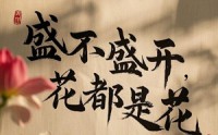 【盛不盛开，花都是花】30集短剧高清流畅在线播放，尽在指尖