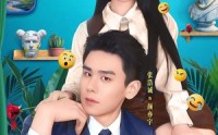 【报告总裁，夫人她又呆又飒】82集短剧全集免费畅快观看