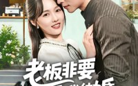 【老板非要和我结婚怎么办】50集短剧免费高清观看