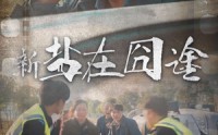 【盐在囧途】46集短剧在线观看，全集高清流畅